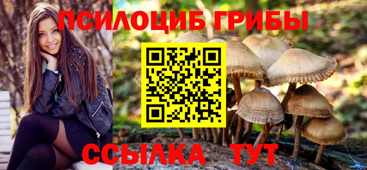Псилоцибиновые грибы Cubensis  наркотики  Красноярск  Вход с VPN 
